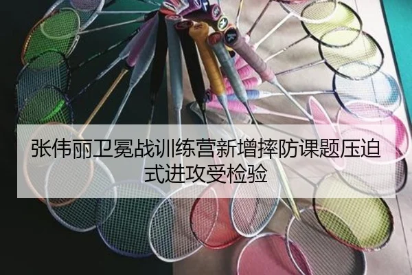 张伟丽卫冕战训练营新增摔防课题压迫式进攻受检验 - BAJIESPORTS