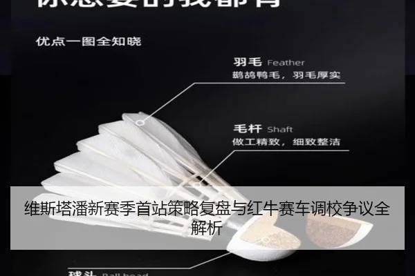 维斯塔潘新赛季首站策略复盘与红牛赛车调校争议全解析 - BAJIESPORTS
